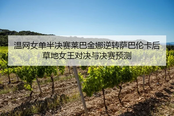 wen-wang-nv-dan-ban-jue-sai-lai-ba-jin-na-ni-zhuan-sa-ba-lun-ka-hou-cao-di-nv-wang-dui-jue-yu-jue-sai-yu-ce-2-678.jpg